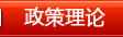 政策理论